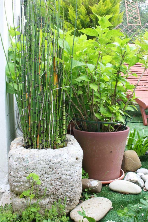 Mini Suite Alla Cascata Noci Ngoại thất bức ảnh